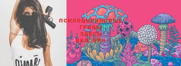 ECSTASY Балахна