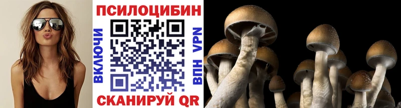 Псилоцибиновые грибы Cubensis  дарнет шоп  Краснотурьинск 